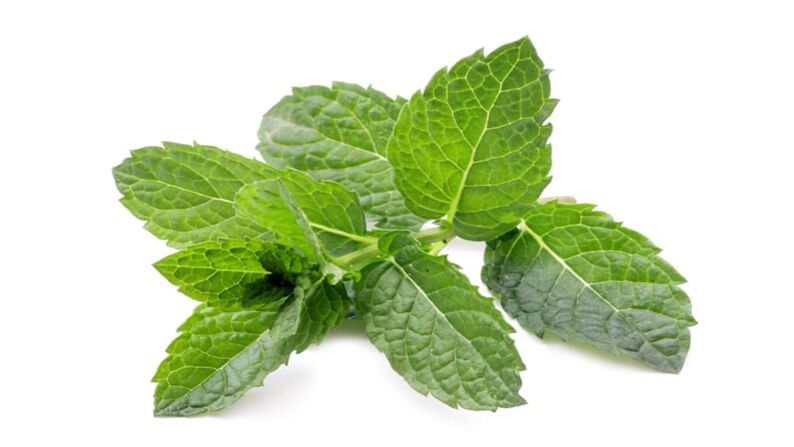 Mint în Hondrolife